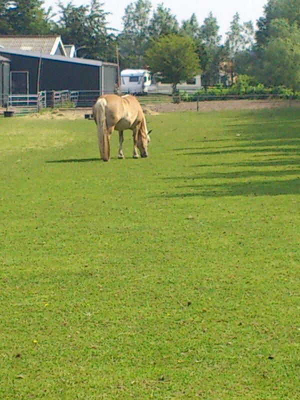 Jo Femia tweet media