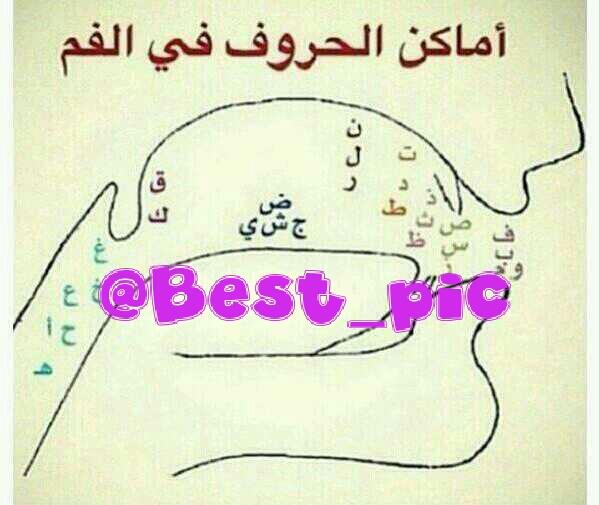 best_pic's tweet photo. http://t.co/Rl1kdGSvR1