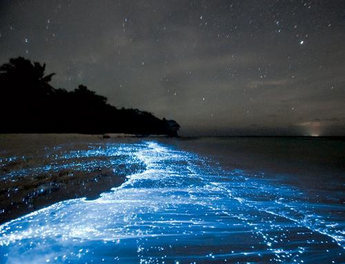 一度は行きたい絶景 モルディブの美しすぎる高画質な画像 壁紙 写真まとめサイト Pictas 一度は行きたい絶景 モルディブの美しすぎる高画質な画像 壁紙 写真まとめサイト Pictas