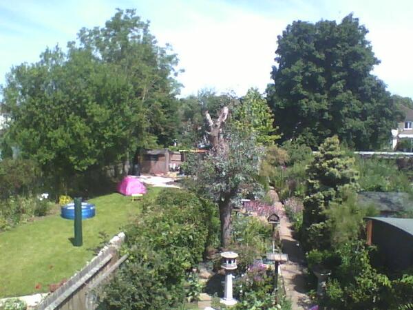 FlyupyourNose's tweet photo. Just purchased all the crash bandicoot games on my #Vita! &amp; look at the beautiful #weather! Not as hot as Lisbon tho! http://t.co/LEEVw7NIfW