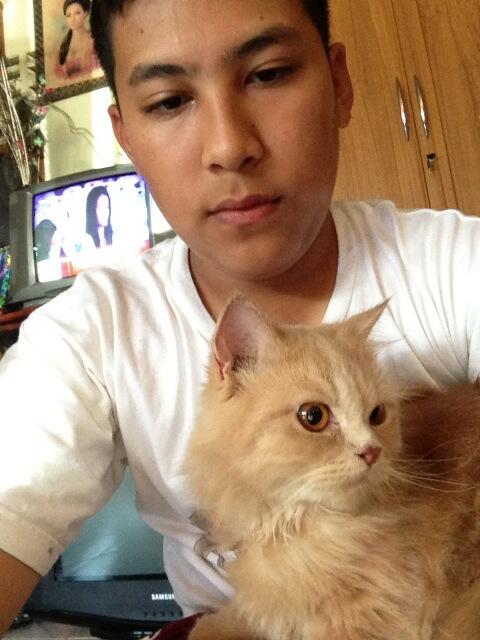 Pnetsen tweet picture