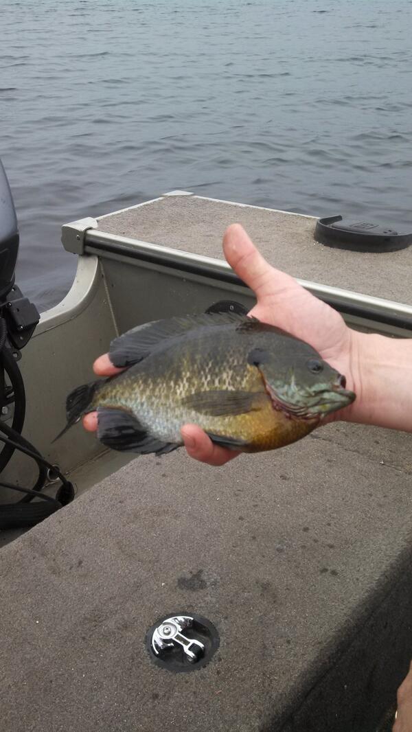 Hanging out at the lake