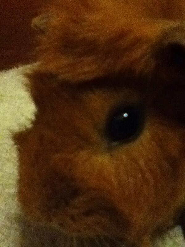 potatostuff0's tweet photo. I love you baby 💙 http://t.co/lAiBlatbd1