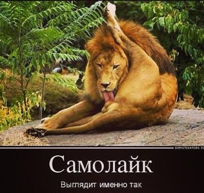 Причиной отставки Пивоварского станет Саакашвили, – эксперт - Цензор.НЕТ 1123