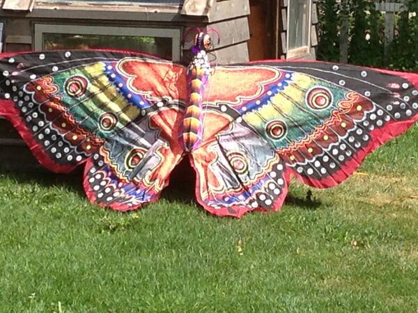 Beeswillbuzz's tweet image. Take flight