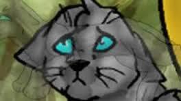 *looks at reflection*