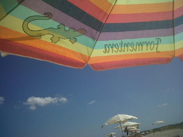 Giuseppe Gorelli tweet media