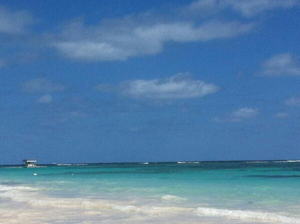 Giuseppe Gorelli tweet media