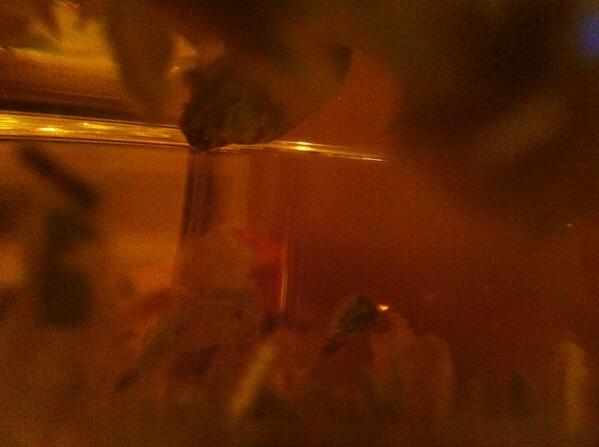 Tea Sutra tweet media