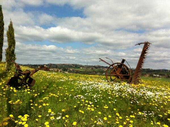 Giuseppe Gorelli tweet media