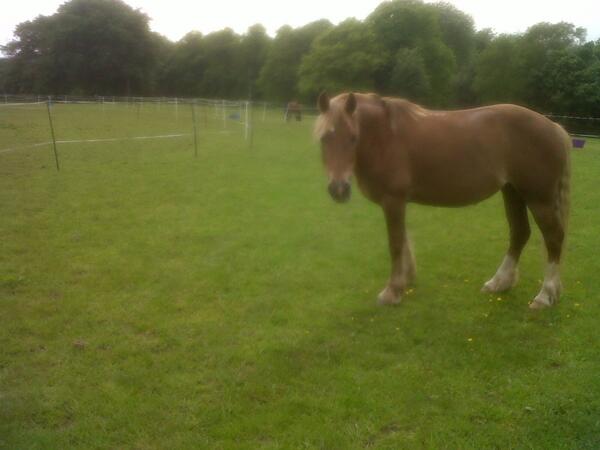 Ruby Owen tweet media