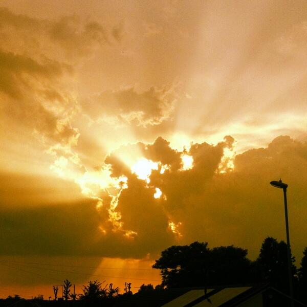 Jasmin Amber Bramley tweet media