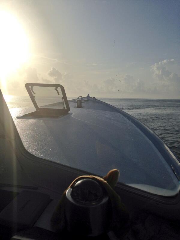 SamanaCharters's tweet photo. Not going #wickedtuna fishing till late August #primetime until then heading offshore daily #jupiter Fl http://t.co/YMOjlqMs1B