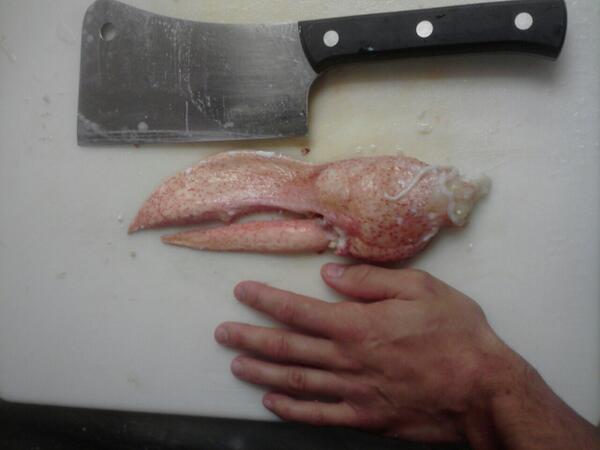 There once was a lobster named Jack Sparrow