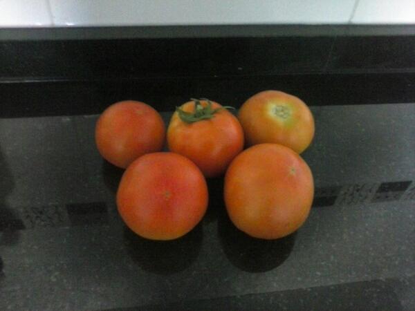roxiodelgado's tweet photo. @ArantxaGF9
Los primeros tomates, más vale tarde que nunca http://t.co/tVl40WdgLh