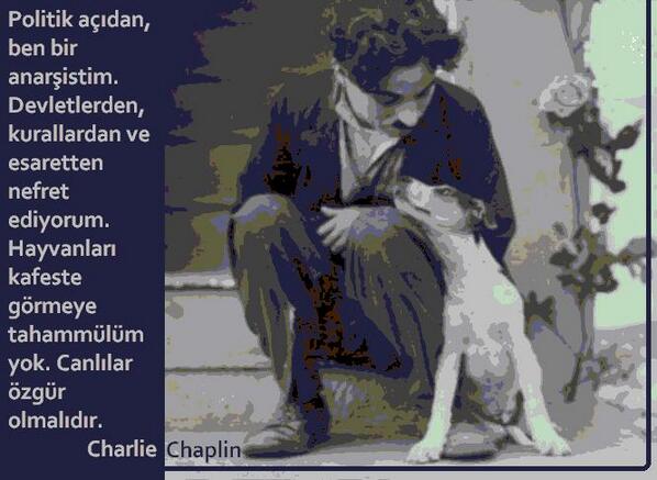 Hayvan Hakları; BOŞ KAFESLER kavramıyla tanımlanır, DAHA İYİ KAFESLER kavramıyla değil...!