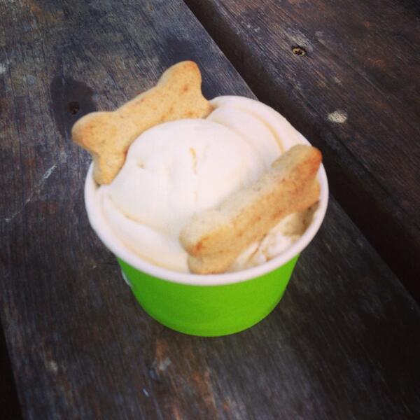 Doggie ice cream sundae