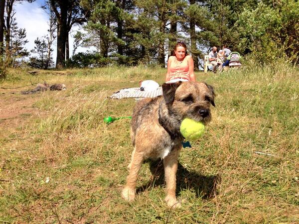 HugoTheBorder's tweet image. Cldv swore id seen a wabbit there.