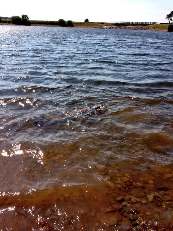 HugoTheBorder's tweet image. Gettin dat sinkin feelin.