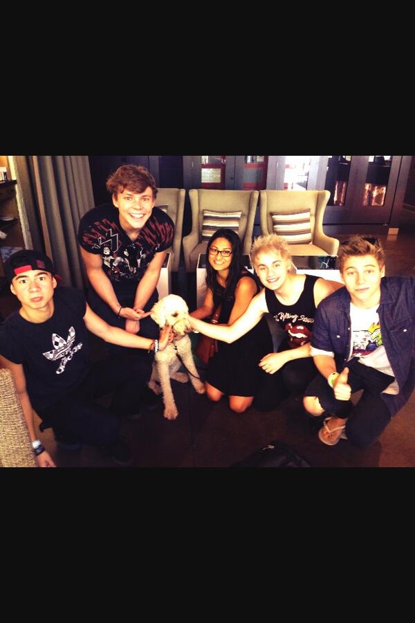 5SOS's tweet photo. Met the cutest damn puppy ever today, Calum cried http://t.co/dBao1Q0liL