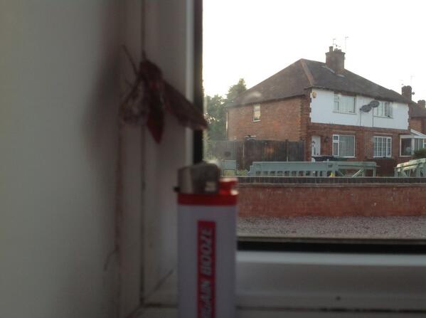 john kerr tweet media