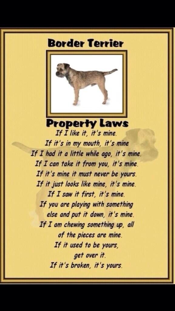 HugoTheBorder's tweet image. Too True!!