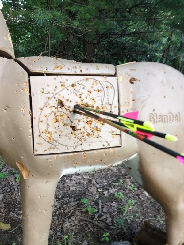 PhilKulp's tweet image. Great night with my @blackeaglearrow Zombies &amp;amp; @HHASports Optimizer on my @Mathews_Archery Monster Chill