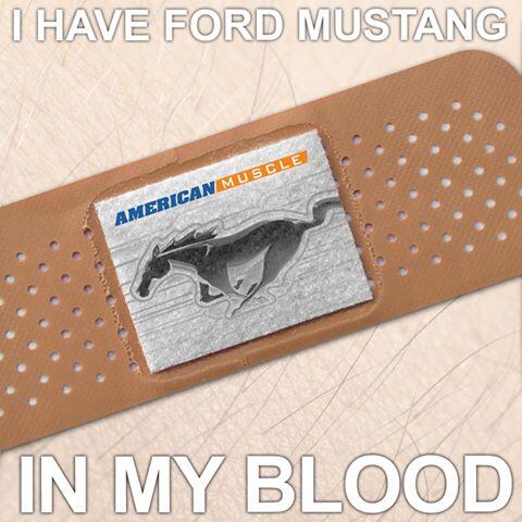 americanmuscle's tweet image. RT if you have #Mustang blood in you!