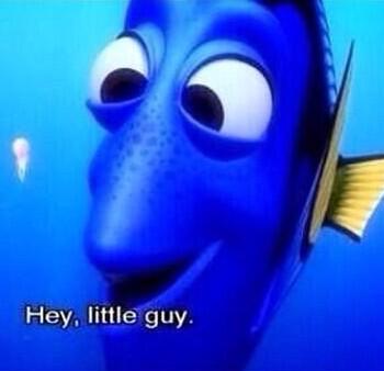 summer2013posts tweet picture