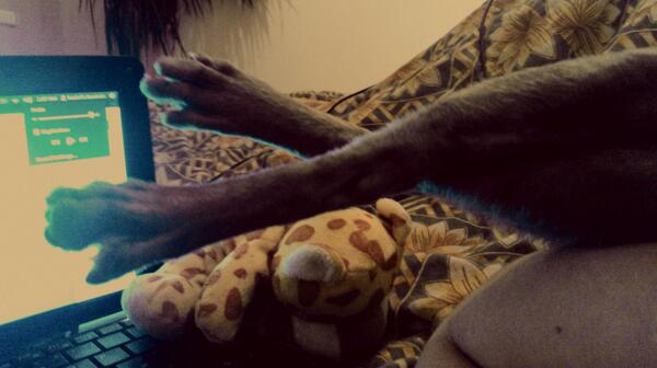 Just chilling