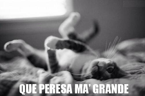 MejoresTwits's tweet photo. Tu madre te dice que hagas algo en casa y tú estás como... http://t.co/YAhocwBJZm