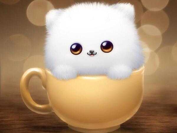 zipbeth tweet picture