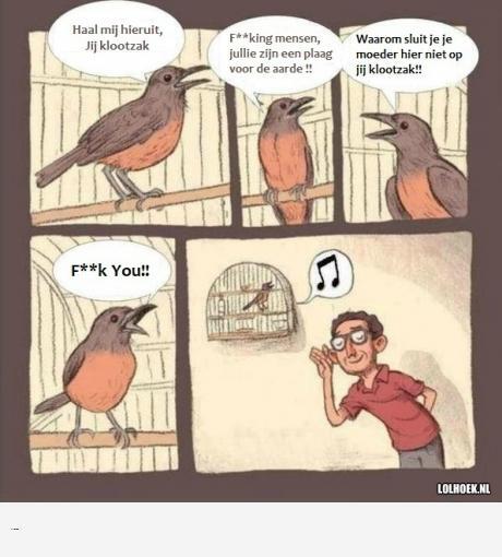 muziek