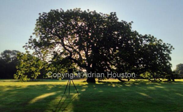 A behind the scenes shot from #Photographer Adrian Houston’s latest exhibition The Tree.