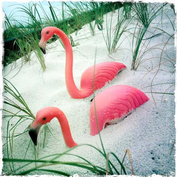 The sun is finally shining, the weather is warm and the beach is beautiful. Whose enjoying the Emerald Coast today?