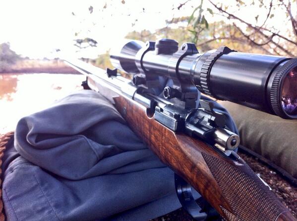 gert_400's tweet photo. Did some hunting this weekend! #Patience http://t.co/C5InKVRJIN