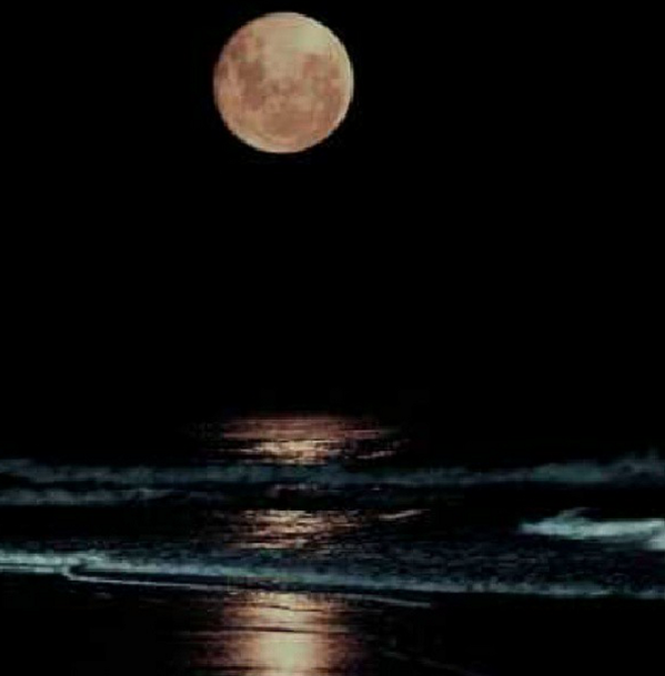 RjOony's tweet photo. قد آمواج آلبحر آحبک ♥ http://t.co/jYBXkGuiBs