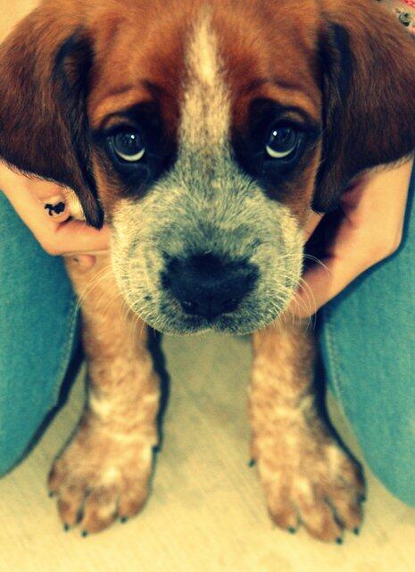 Catieeta's tweet photo. 11 http://t.co/CKHFYlHqhR