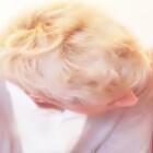 banner 4