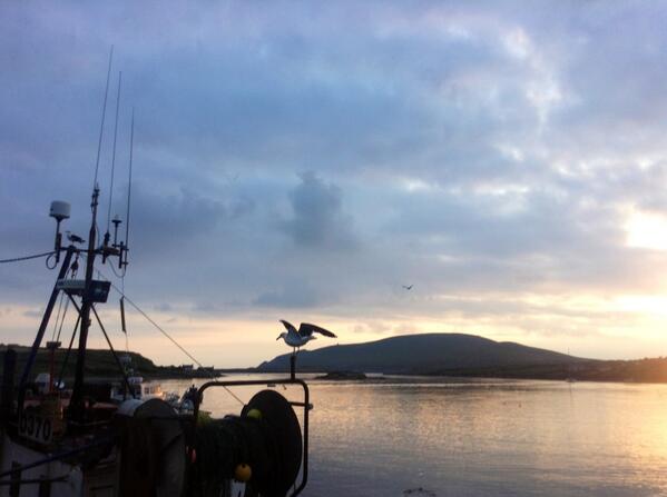 Portmagee looking well. Flock of seagulls causing hassle. Besht x