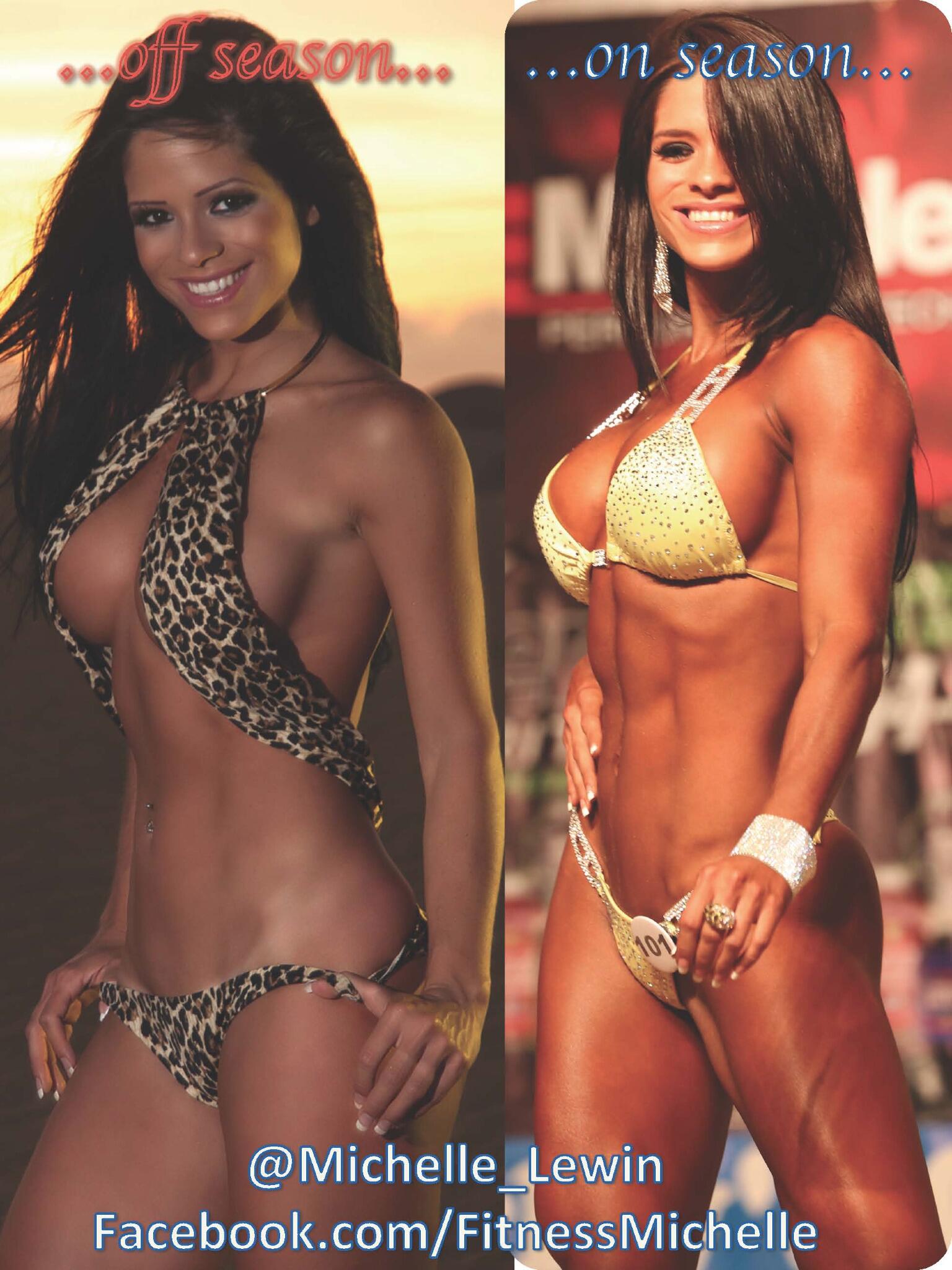 Michelle Lewin Before And After