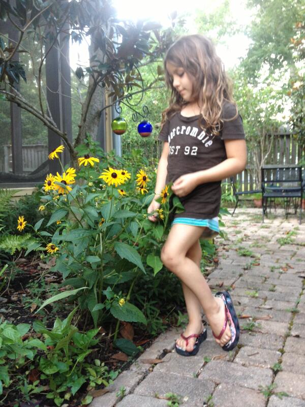 spring hebert goutro tweet media