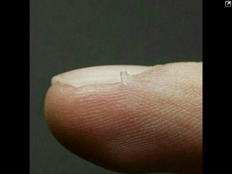 اذا بتسحبها ستندم طول حياتكككككك. ”