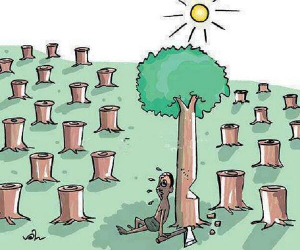 IMMugdhaSingh's tweet photo. A Picture says a thousand words.. Save Environment if you want to save your self! http://t.co/Qh573ggqy8