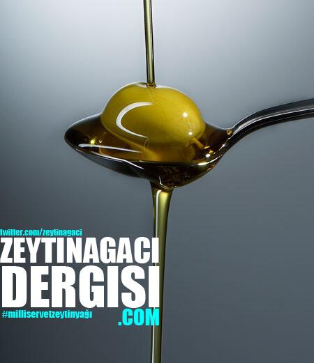 zeytinagaci tweet picture