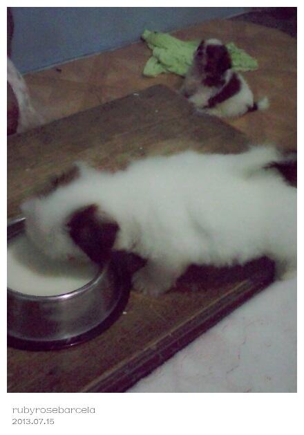 rubyrosebarcela tweet picture