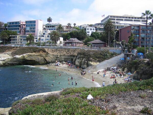 SeasideSolos tweet picture