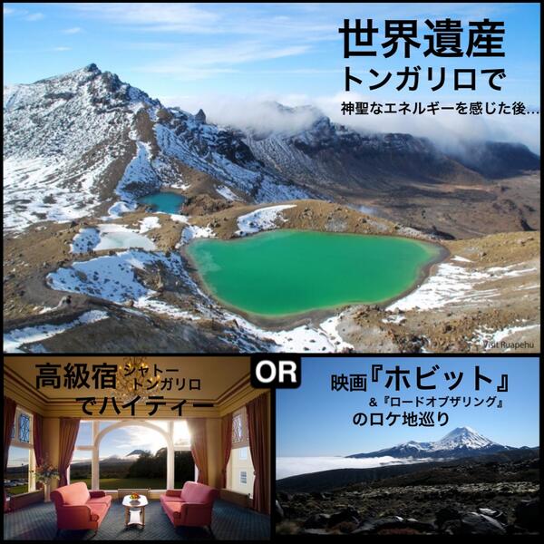 PureNZinJapan tweet picture