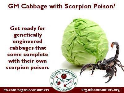 RVLTNTruth's tweet image. No to Gmfoods #exposedtruth#noGM