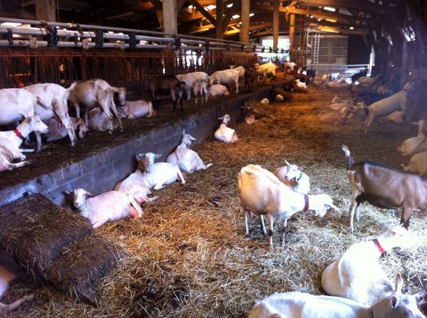 Phil Bingham tweet media